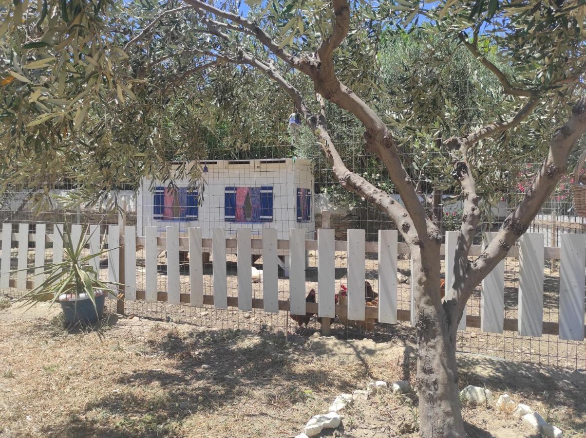 קטאפולה Villa Le Grand Bleu מראה חיצוני תמונה